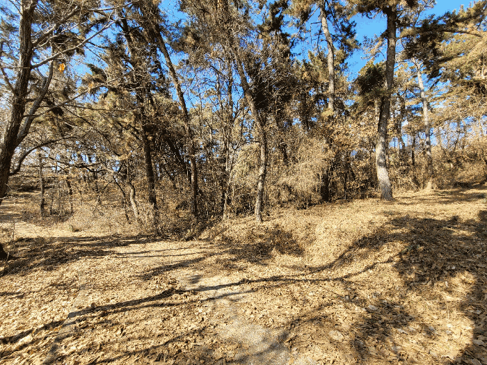 기호(3) 내 도로 동측부분
