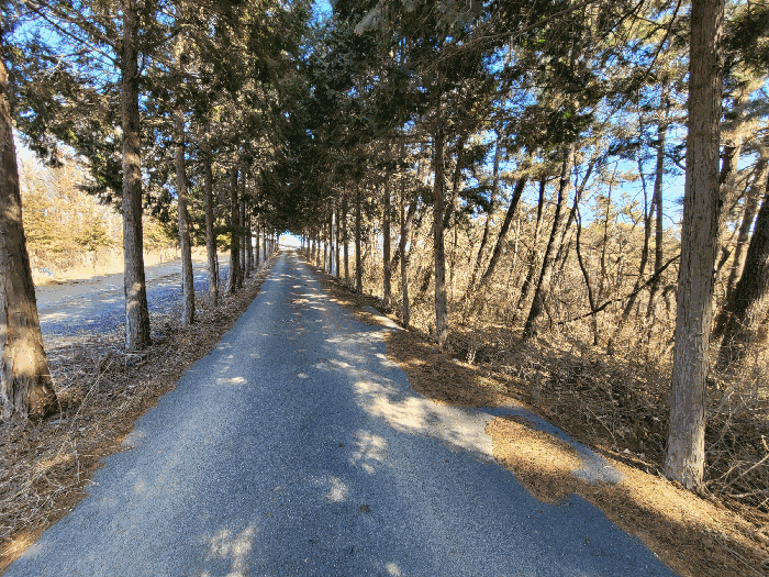 기호(3) 서측 도로 부분
