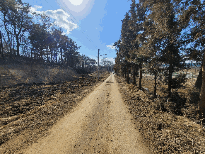 본건 서측 진입로(남측부분)
