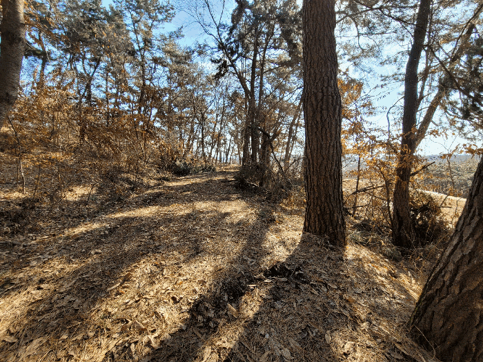 기호(1) 내 분묘접근로
