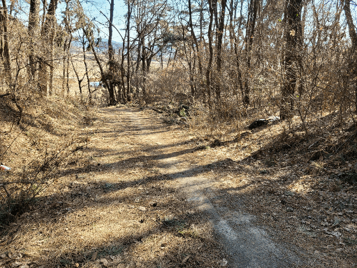 기호(3) 내 도로 중앙부
