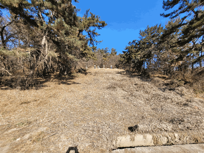 기호(1) 남측에서 촬영한 분묘소재 부분
