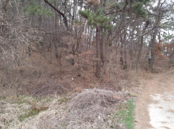 * 본건 목적물 1. 전경