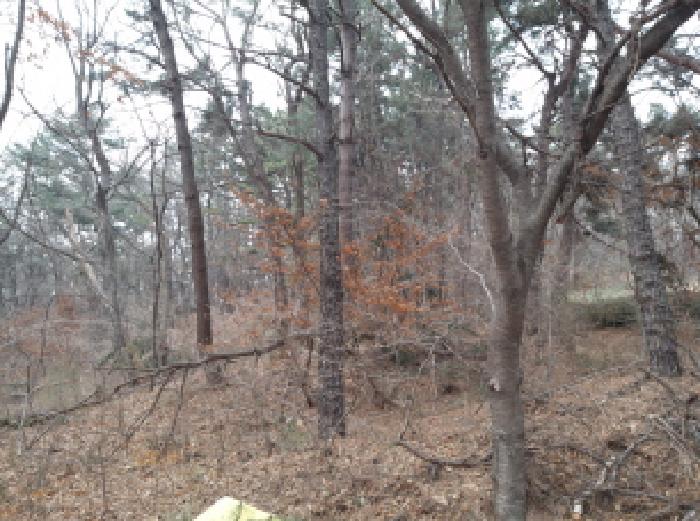 * 본건 목적물 1. 전경