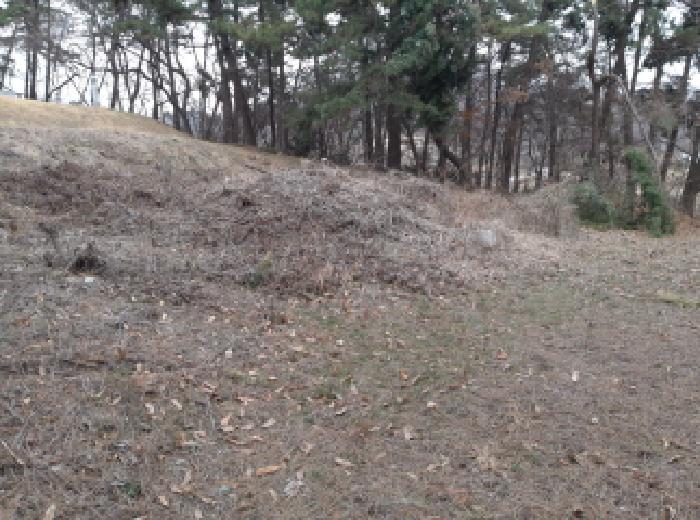* 본건 목적물 1. 전경(분묘1기)