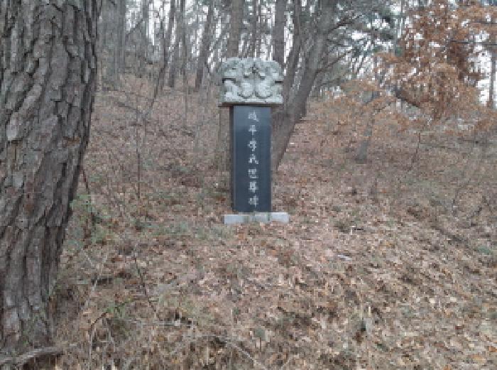 * 본건 목적물 1. 전경(세장비)