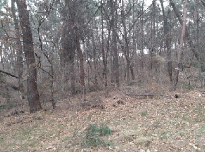 * 본건 목적물 3. 전경