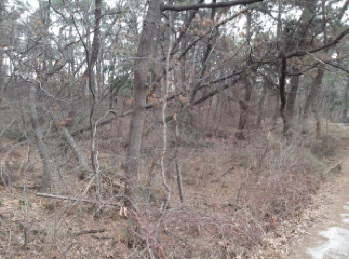 * 본건 목적물 3. 전경