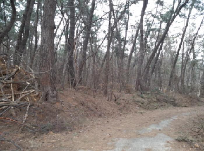 * 본건 목적물 3. 전경