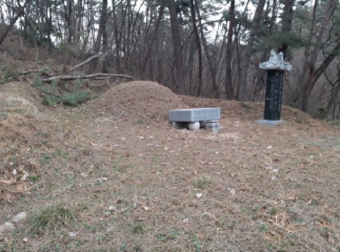 * 본건 목적물 3. 전경(분묘1기)