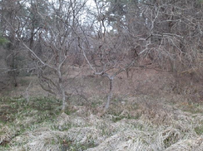 * 본건 목적물 4. 전경