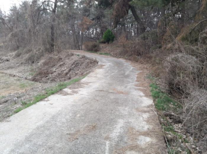 * 본건 목적물 1. - 4. 인접도로 전경