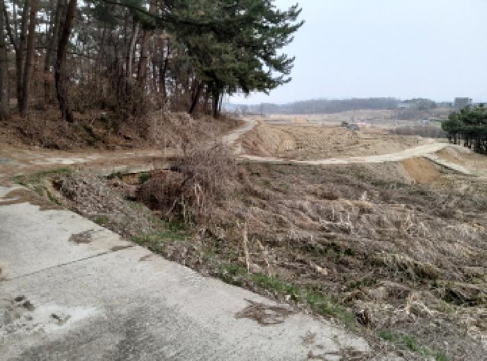 * 본건 목적물 1. - 4. 인접도로 전경