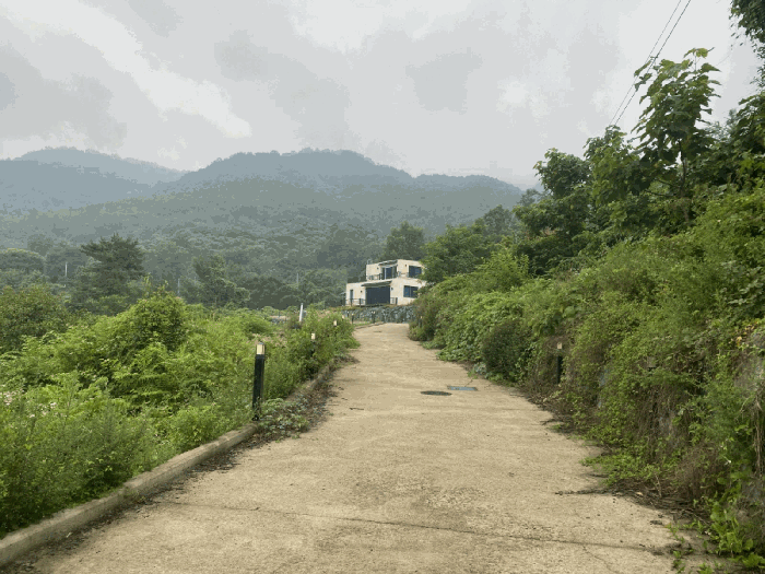 기호(1) 전경 - 북서측에서 촬영