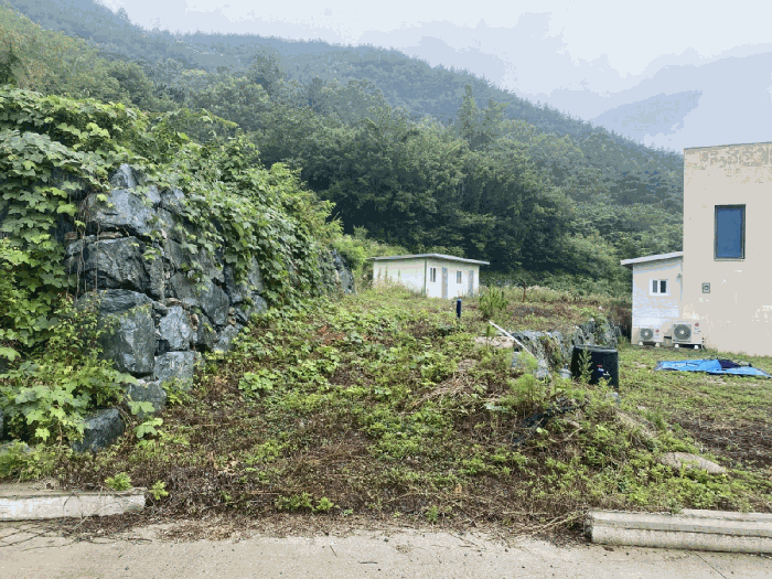 기호(1) 전경 - 중앙남측부분