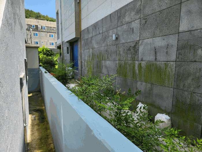지상 수목