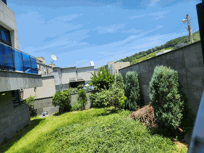 지상 수목