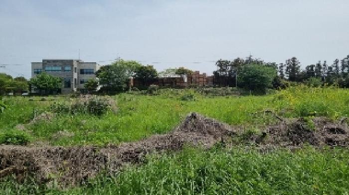 소재지6(대흘리