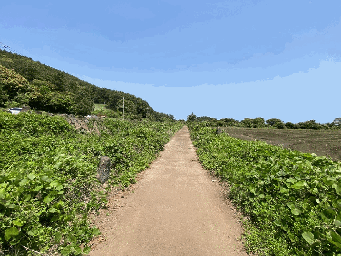 접면도로 및 주위 환경