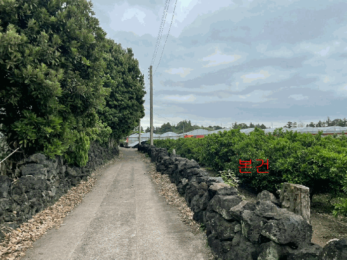 본건 서측 주변전경