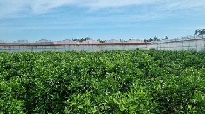 소재지1(위미리 12-2) 전경1