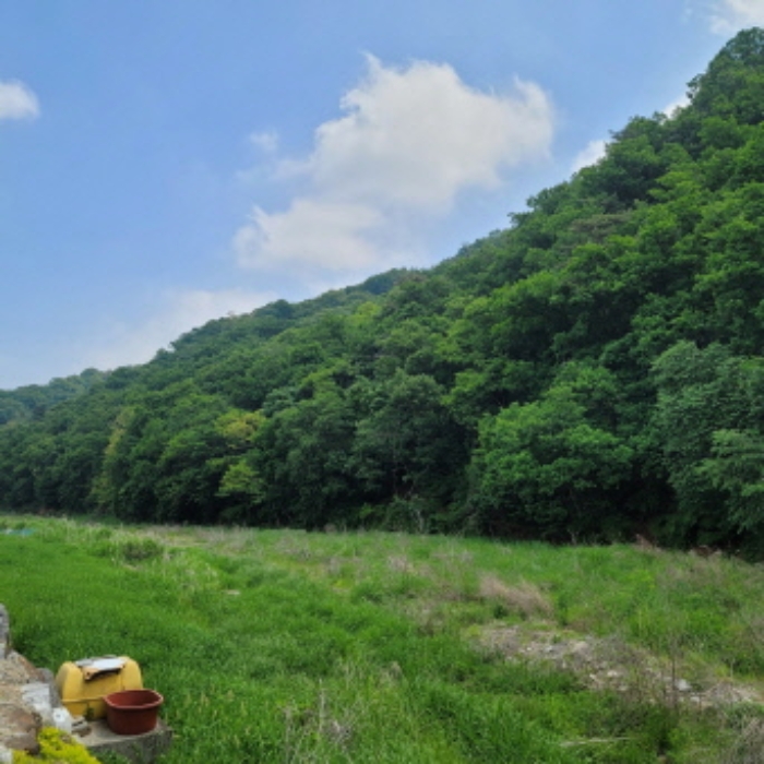 본건 토지 전경