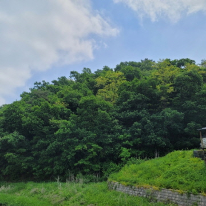 본건 토지 전경