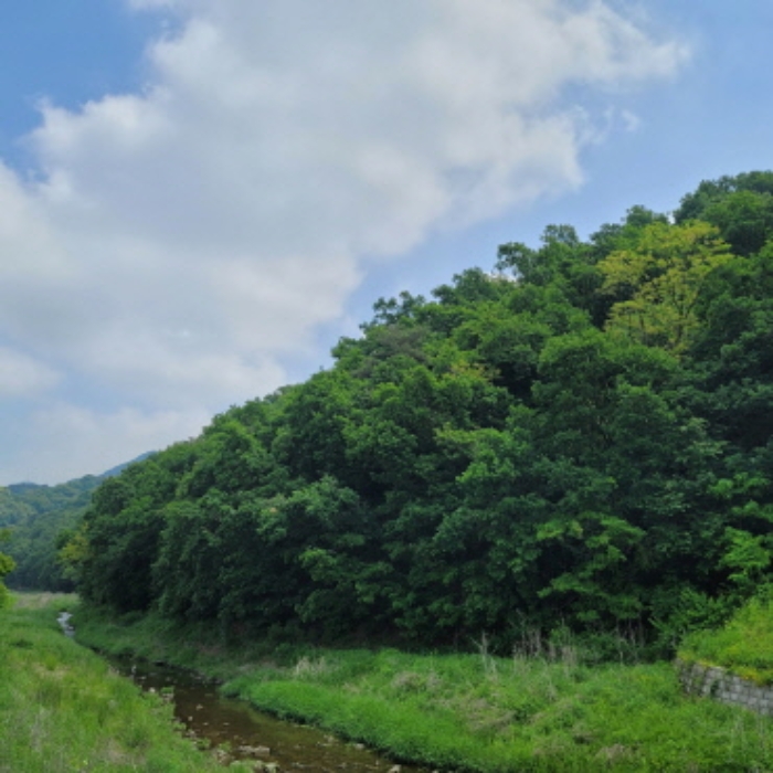 본건 토지 전경