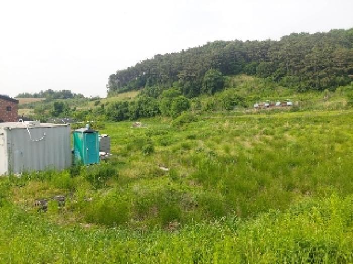 표시목록 1번 토지(답)-경작하지 않아 풀이 무성하게 자라고 있음, 컨테이너 1개, 간이화장실 1개 있음