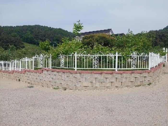 표시목록 3번 토지(전)-조경수 등 나무와 밭이 있음