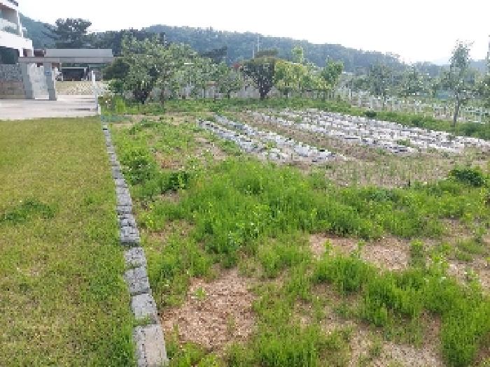 표시목록 3번 토지(전)-조경수 등 나무와 밭이 있음