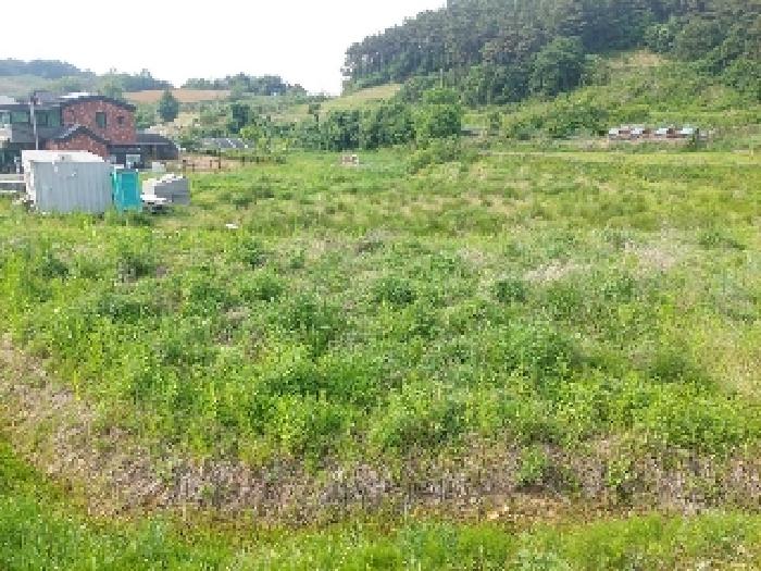 표시목록 1번 토지(답)-경작하지 않아 풀이 무성하게 자라고 있음, 컨테이너 1개, 간이화장실 1개 있음