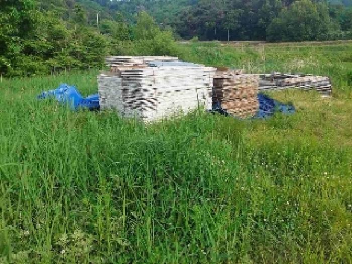 표시목록 6번 토지(전)-경작하지 않아 풀이 무성하게 자라고 있음