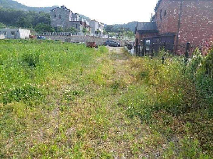 표시목록 6번 토지(전)-경작하지 않아 풀이 무성하게 자라고 있음