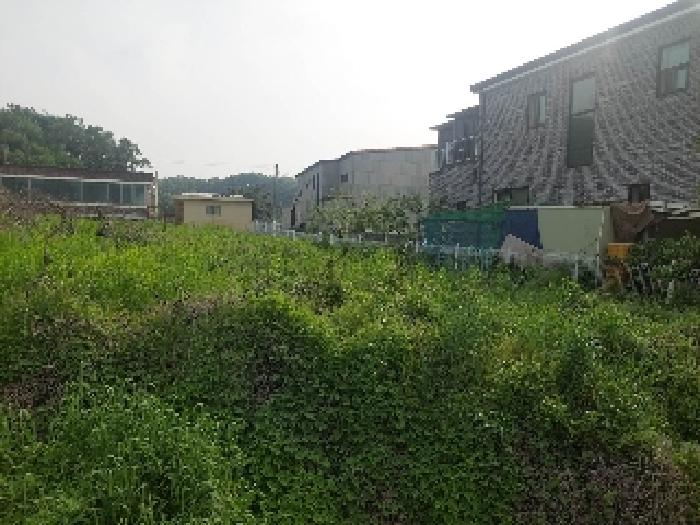 표시목록 5번 토지(전)