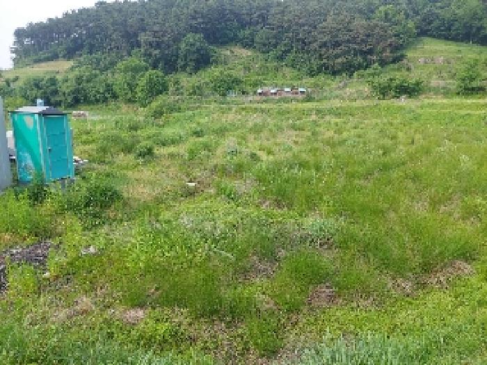 표시목록 1번 토지(답)-경작하지 않아 풀이 무성하게 자라고 있음, 컨테이너 1개, 간이화장실 1개 있음