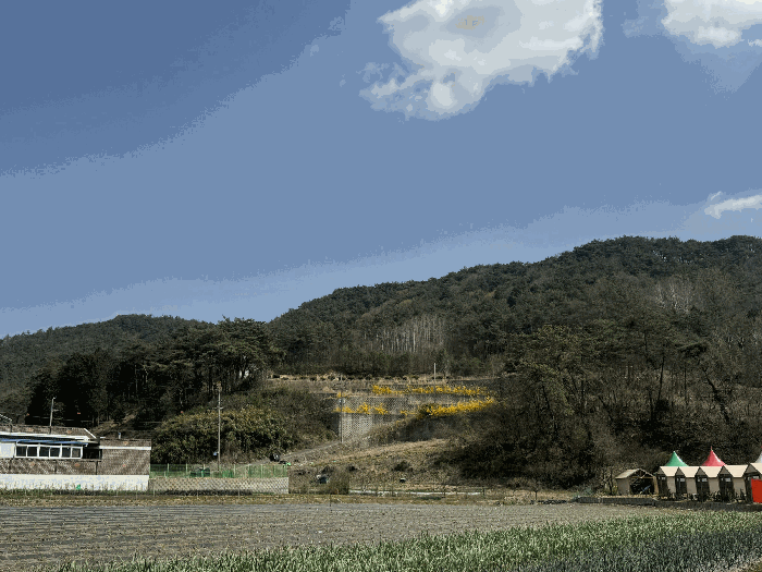 본건 원경