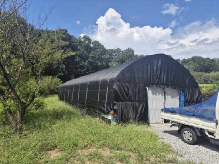 목록3 제시외 비닐하우스