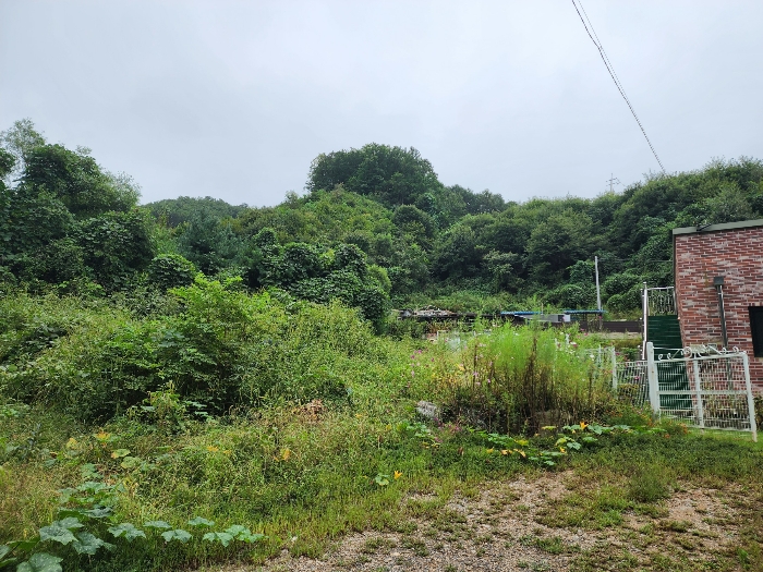 기호(1)토지(상천리 산298-1) 및 
기호(2)토지(상천리 산298) 서측 부분 전경