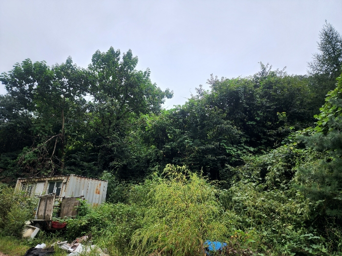 기호(2)토지(상천리 산298) 전경