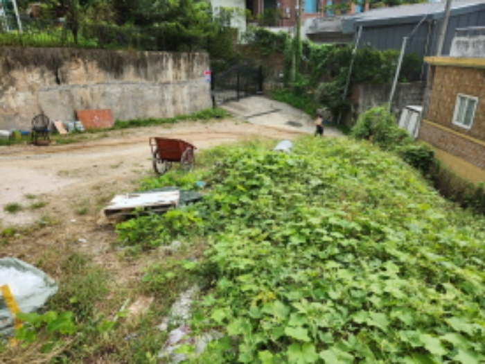 본건 부동산 전경(안쪽에서 바라본 모습)
