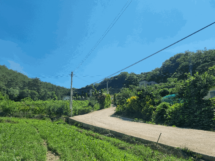 [본건 전체 전경]