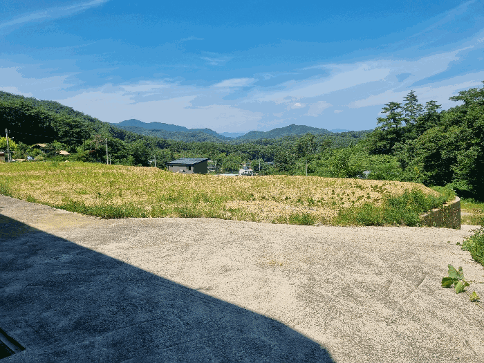 [본건 6]