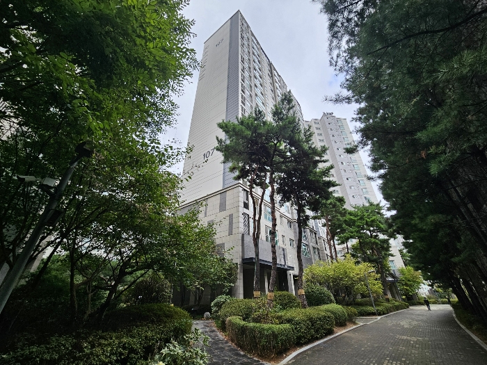 서측 전경 및 단지 내부 통행로