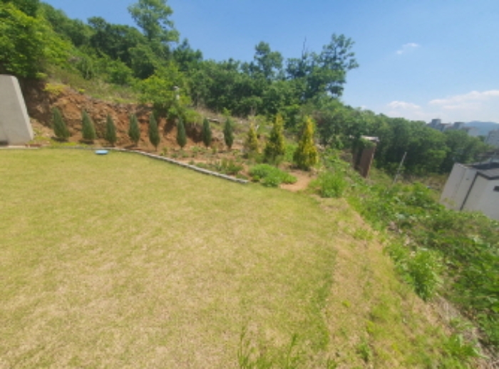 현장사진(회덕동 356-107, 356-63 토지)