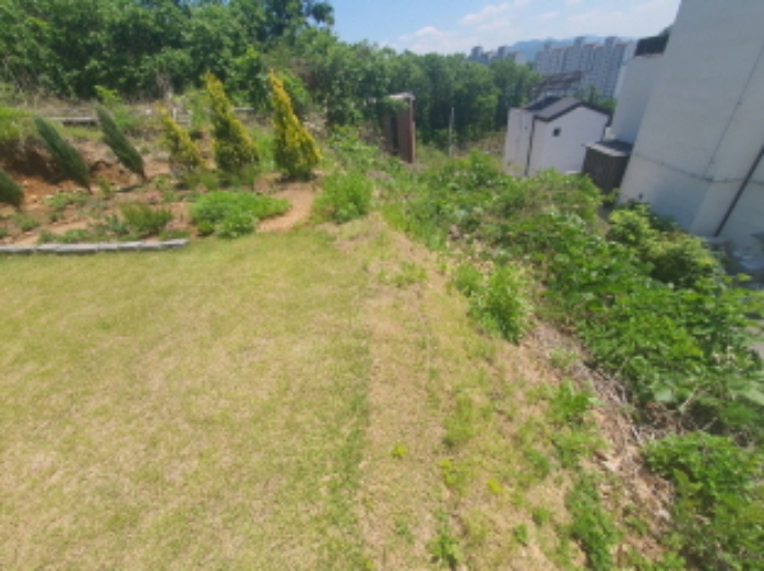 현장사진(회덕동 356-107, 356-63 토지)