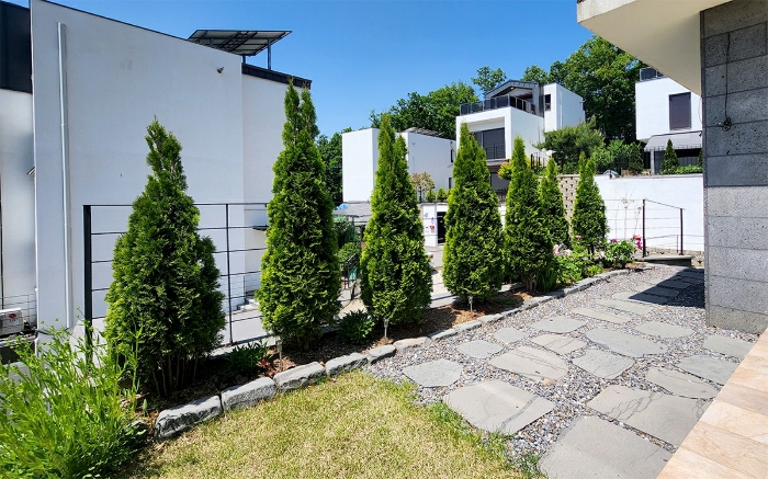 9. 기호 1지상 수목