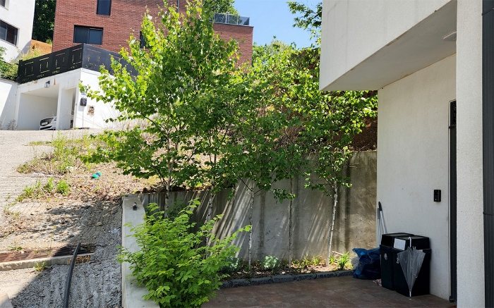 10. 기호 1토지상 수목