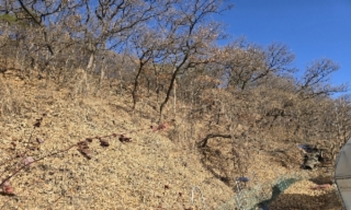 목적물 4번