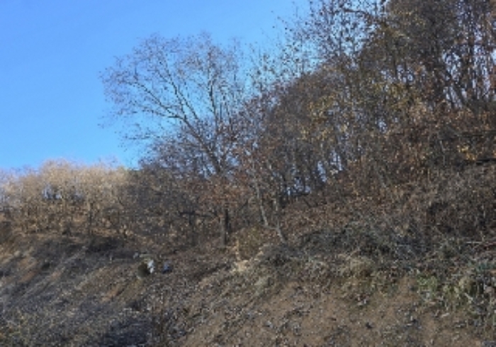목적물 1번
